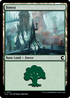 Forest (0271) (CLU-271) - Ravnica: Clue Edition