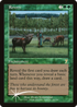 Rowen (7ED-266) - 7th Edition