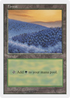 Forest (449) (5ED-449) - Fifth Edition