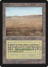 Savannah (LEB-) - Limited Edition Beta