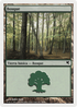 Forest (Spanish) - "Bosque" (D60) (PSAL-D60) - Salvat 2005