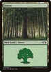 Forest (30) (Elves vs Goblins) (DD3-030) - Duel Decks Anthology: Elves vs. Goblins