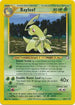 Bayleef (029/111) Unlimited [Neo Genesis] - Uncommon