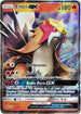 Entei GX (10a/73) Holofoil [Alternate Art Promos] - Promo