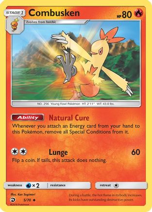 Combusken (5/70) [Dragon Majesty] - Uncommon