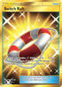 Switch Raft (Secret) (77/70) Holofoil [Dragon Majesty] - Secret Rare
