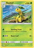 Bayleef (007/214) [Lost Thunder] - Uncommon