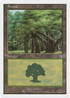 Forest (108) (BRB-) - Battle Royale Box Set