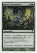 Scatter the Seeds (Spanish) - "Esparcir las semillas" (PSAL-J18) - Salvat 2005