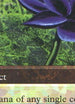 Black Lotus (5 of 9) (Ultra Pro Puzzle Quest) (MEDIA-001) - Media Promos