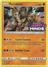 Terrakion - SM205 (Prerelease) [Staff]  - Holofoil SM Promos - Promo