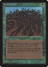 Wall of Wood (LEB-) - Limited Edition Beta
