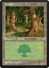 Forest (ANA-020) - Arena New Player Experience