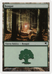 Forest (Spanish) - "Bosque" (I46) (PSAL-I46) - Salvat 2005