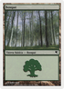 Forest (Spanish) - "Bosque" (B34) (PSAL-B34) - Salvat 2005