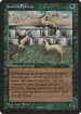 Joven's Ferrets (HML-) - Homelands