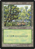 Forest (Arena League) (OVER-) - Oversize Cards Foil
