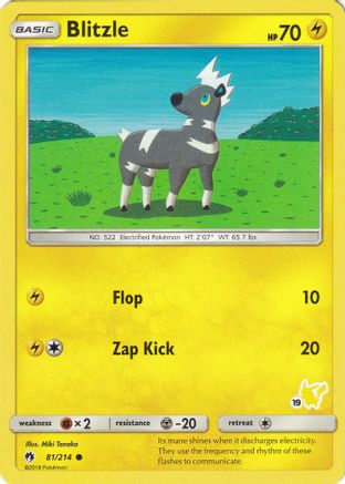Blitzle (#19 Pikachu Stamped) (81/214) [Battle Academy] - Promo