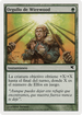 Wirewood Pride (Spanish) - "Orgullo de Wirewood" (B55) (PSAL-B55) - Salvat 2005