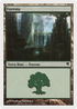Forest (Italian) - "Foresta" (K45) (PSAL-K45) - Salvat 2005