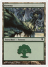 Forest (PSAL-K34) - Salvat 2005