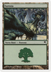 Forest (PSAL-K34) - Salvat 2005