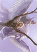 Unbounded Potential Art Card (ASMH2-010) - Art Series: Modern Horizons 2