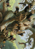 Scurry Oak Art Card (ASMH2-040) - Art Series: Modern Horizons 2