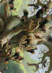 Scurry Oak Art Card (ASMH2-040) - Art Series: Modern Horizons 2