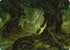 Neverwinter Dryad Art Card (ASAFR-069) - Art Series: Adventures in the Forgotten Realms