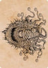 Baleful Beholder (Showcase) Art Card (ASAFR-068) - Art Series: Adventures in the Forgotten Realms