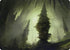 Forest (55/81) Art Card (ASAFR-055) - Art Series: Adventures in the Forgotten Realms