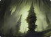 Forest (55/81) Art Card (ASAFR-055) - Art Series: Adventures in the Forgotten Realms