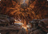 Den of the Bugbear Art Card (ASAFR-060) - Art Series: Adventures in the Forgotten Realms
