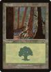 Forest (348) (INV-348) - Invasion