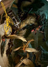 Wing Shredder Art Card (Gold-Stamped Signature) (ASMID-055) - Art Series: Innistrad: Midnight Hunt