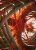 Sigarda's Imprisonment Art Card (ASVOW-016) - Art Series: Innistrad: Crimson Vow