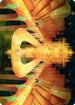 Racers' Ring Art Card (ASSNC-080) - Art Series: Streets of New Capenna