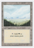 Plains (A) (3ED-293) - Revised Edition