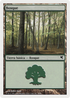 Forest (Spanish) - "Bosque" (B45) (PSAL-B45) - Salvat 2005