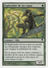 Treetop Scout (Spanish) - "Explorador de las copas" (B5) (PSAL-0B5) - Salvat 2005