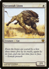 Savannah Lions (9ED-041) - 9th Edition