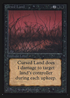 Cursed Land (CE) (CED-) - Collectors' Edition