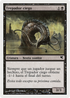 Blind Creeper (PSAL-F29) - Salvat 2005