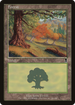 Forest (349) (ODY-349) - Odyssey Foil