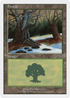 Forest (49) (DKM-049) - Deckmasters