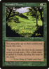 Summer Bloom (VIS-) - Visions