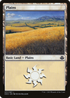 Plains (031) (DDO-031) - Duel Decks: Elspeth vs. Kiora