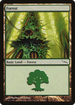 Forest (305) (MRD-305) - Mirrodin