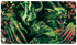 Modern Horizons 3 Playmat - Birthing Ritual